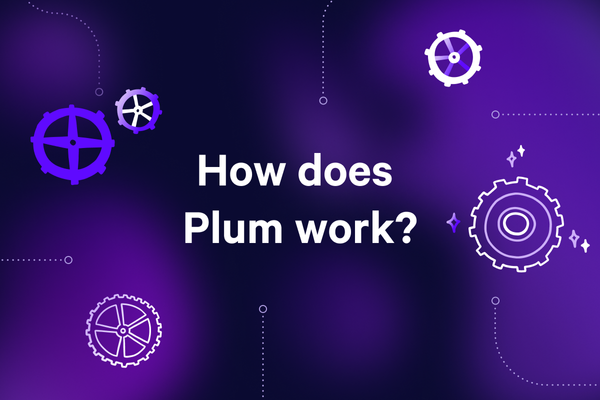 How does the Plum app work?